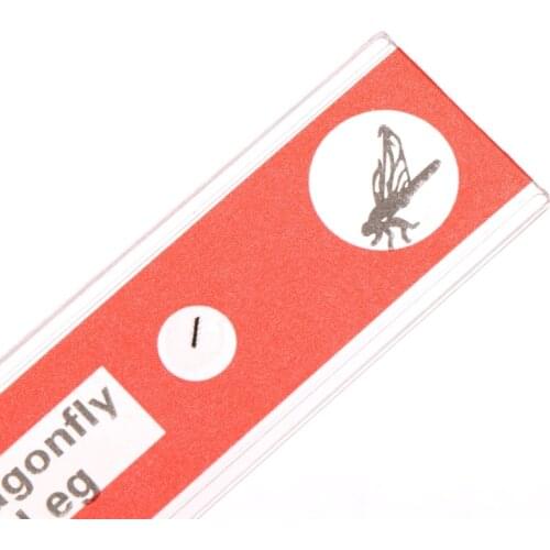 12 Pcs Prepared Microscope Slides Set Specimen for student Basic Biology Education Dropship