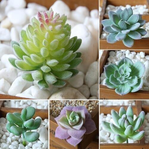Hot Sale 1Pc Plastic Fake Artificial Succulents Plant Bonsai Garden Home Office Decor