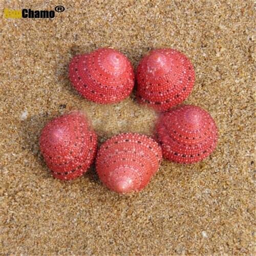 Strawberry Bell Snail 2CM Natural Conch Shell Rare Snail Shell Collection Girlfriend Gift Lovely DIY Micro-landscape Decorations