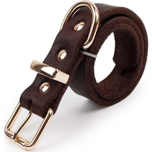 Luseerose Pet Supplies