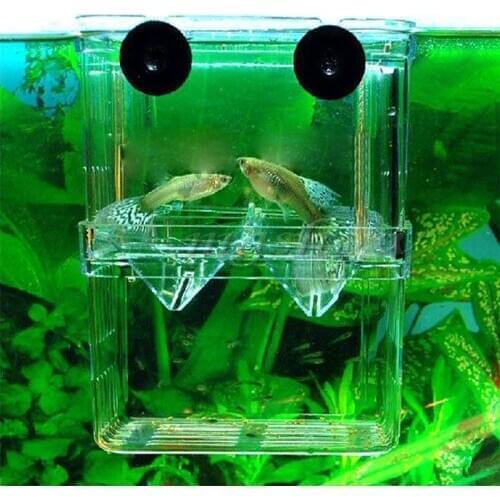 Aquarium Fish Breeding Box Acrylic Double Guppies Hatching Incubator Isolation Box Hatchery Fish Tank Aquarium Accessories