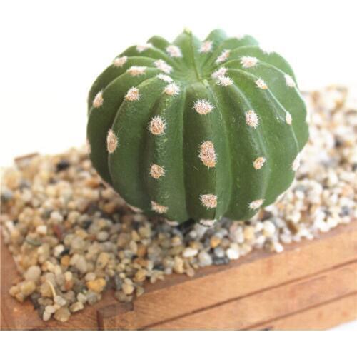 Artificial Lifelike Succulents Cactus Multi Type Plastic Plant Garden Miniature Cactus DIY Home Living Room Office Decoration