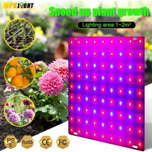 ArishAmy LED Plant Lamps