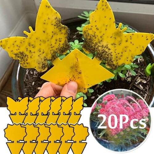 20Pcs New Sticky Trap Fruit Fly Gnat Yellow Sticky Bug Traps for Fly Pest Insect Trap Catchers Bug