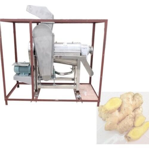 2021 Commercial Ginger Juice Juicer Ginger Crusher & Juicing Machine Food Extractor Machines FREE CRF BY SEA
