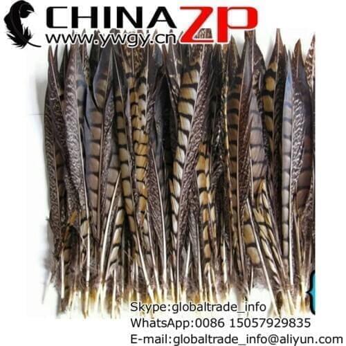 CHINAZP Factory Wholesale 100pcs/lot 30-35cm(12~14inch) Natural Lady Amherst Pheasant Feather for Carnival Costume Ideas