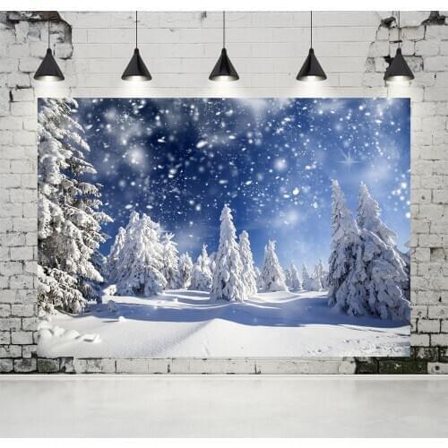 VinylBDS 8x8ft Winter Forest Photography Backdrops Frozen Snow Background Natural Scenery Backdrop for Children Photo Studio