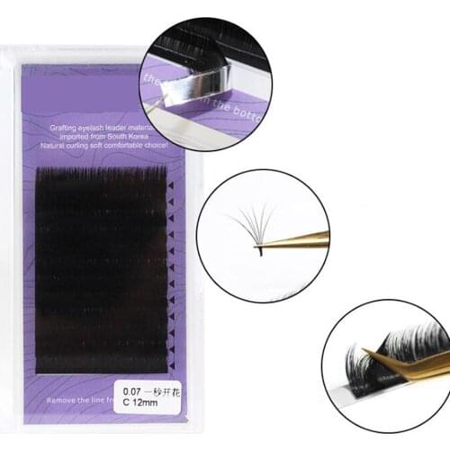 20MM Super Long Easy Fanning Eyelash Extensions Blooming Volume Eyelashes Auto Fans Camellia Individual Lash Extension Supplier