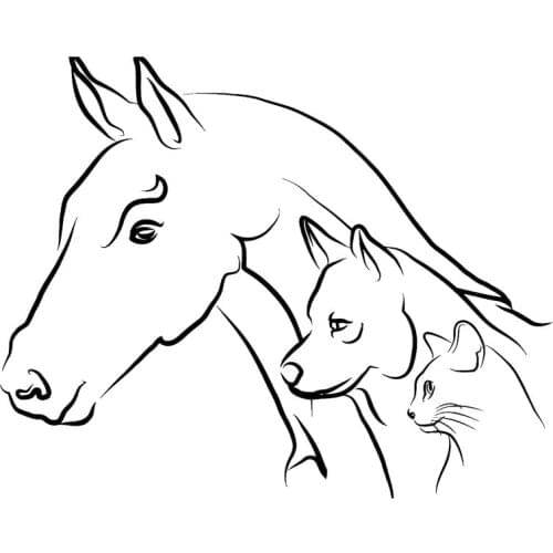 Car Stickers Animal Horse Cat Dog Fashion PVC Car Decoration Accessories Stickers Waterproof Sunscreen Black/white,19cm*15cm