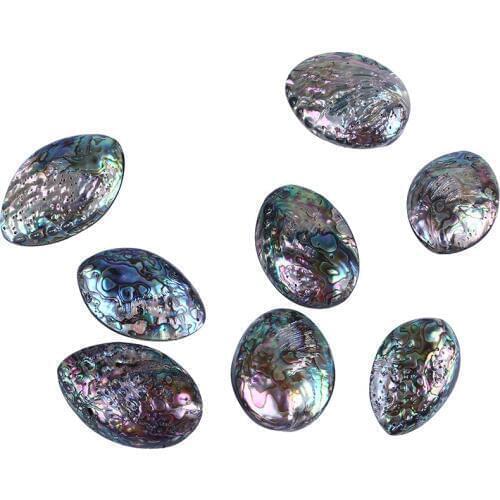 50-60mm Natural polished Abalone Shell Natural Craft Seashell