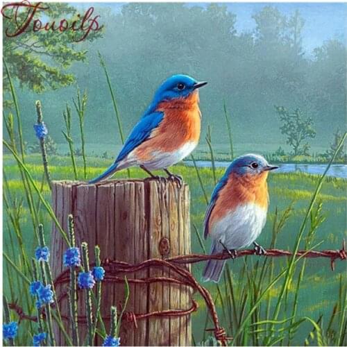 Diamond embroidery scenery picture 5d Diy diamond painting cross stitch blue birds Full rhinestone pasted Crafts Needlework