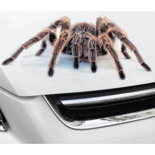 New 3D Spider Scorpion Lizard Crawling Car Sticker cover scratch Decal Truck Decor For Vehicle Gift Auto Accessories Window P5Q5