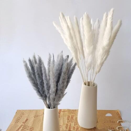 15Pcs Dried Reed Flower Arrangement Natural Pampas Grass For Modern Home Decoration Party Backdrops Wedding Supplies