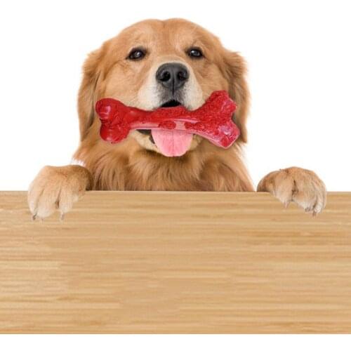 Pet Dog Toy Interactive Rubber Bones Aggressive Chewer Pet Dog Puppy Chew Toys Teeth Cleaning Care Pet Dog Supplies