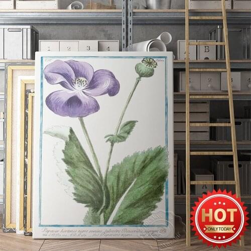 Giorgio Bonelli Poster, Papaver Hortense Nigro Semine Sylvestre Canvas Prints, Purple Flower Leaf Wall Picture, Plant Wall Decor