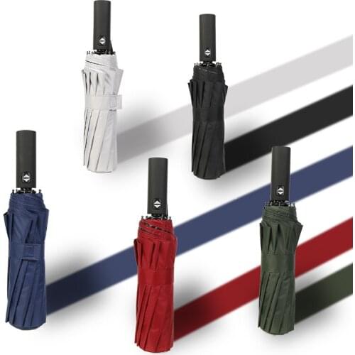 Windproof Automatic Folding Umbrella Female Male 12 Bone Car Luxury Large Business Umbrellas Men Rain Women Gift Parasol