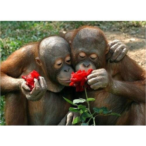 Diy Diamond Painting Animals Monkey Fox Hamster Smell the Flowers Embroidery Mosaic Full Resin Square Dill Resinstone Beadwork