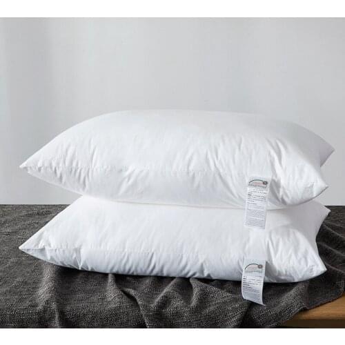 Beddowell Cushions