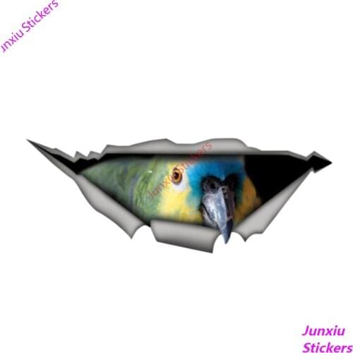 Creative Animal Car Sticke 3D Parrot Window Decal Accessories Waterproof High Quality Vinyl Cover Scratches Decorate KK13*5cm