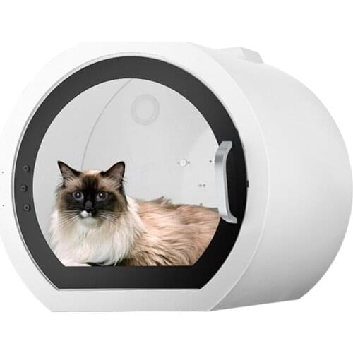 Professional Dog Dryer Dog Brush Cat Hair Dogs Dryer 2 In 1 Dog White 1500w Hair Dryer for The Pets