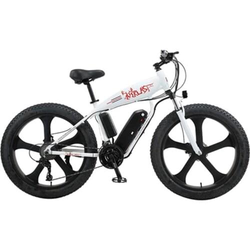 Powerful Electric Bicycle 48V 750W 45KM/H Two Wheels Electric Bicycles Fat Tire 27 Speed Mountain Off Road Electric Bikes Adults