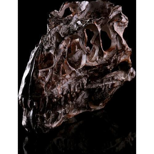 Tyrannosaurus Rex Dinosaur Skull Handicrafts Resin Fossil Simulation Skull Model For Collectibles