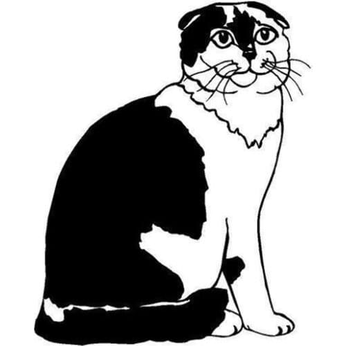 12.2*15CM Scottish Fold Cat Fashion Creative Cartoon Car Stickers Reflective Vinyl Decal