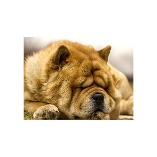 YIKEE diamond painting dog Full Drill Diamond Embroidery Sale Handmade Wall Decor Scenery Mosaic Crystal y992