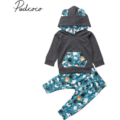 2018 Brand New Toddler Baby Girls Boys Clothes 2PCS Long Sleeve Hooded 3D Ears Cartoon Hoodies Tops+Pants Autumn Winter Clothes