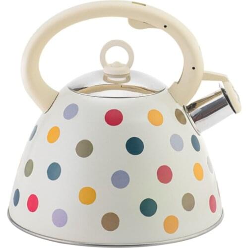 Whistling Tea Steel Kettle Camping With Handle For Gas Induction Cooker Water Pot 3L Spray Color Wave Point Teapot Stainless