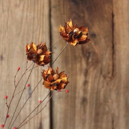 Natural dried flowers natural plant decorative multi-clour plant chrysanthemum dried flowers of the original flower