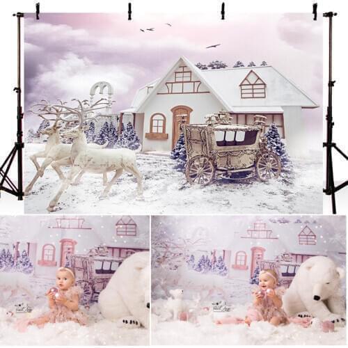 Christmas Photography Background Dream Castle Carriage Snowfield Pink Backdrop Children Portrait Party Decorative Props Studio