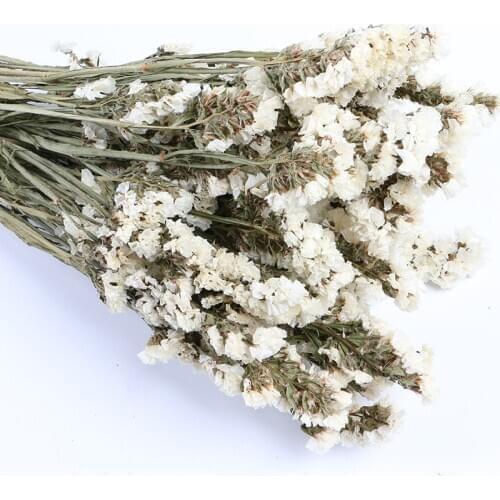 JAROWN Dried Flowers Eternal Flowers Forget-me-not Flower Bouquet Home Flower Arrangement Accessories Wedding Flower Room Decor