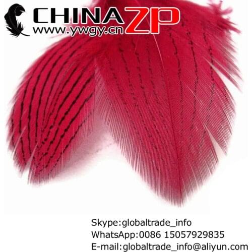 CHINAZP Factory Exporting 500pcs/lot 8~10cm Length Top Quality Fluffy Dyed Claret Silver Pheasant Plumage Feathers