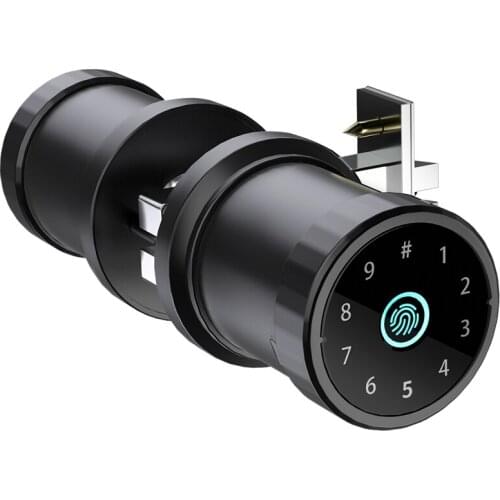 Tuya Smart Electronic Lock Wireless Intelligent Digital Ttlock Fingerprint Combination Code Password Door Lock