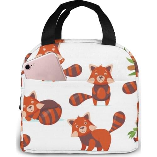 Lunch Bag Funny Raccoon Thermal Insulated Lunch Box Tote Cooler Bag Bento Pouch Lunch Container Food Storage Bag