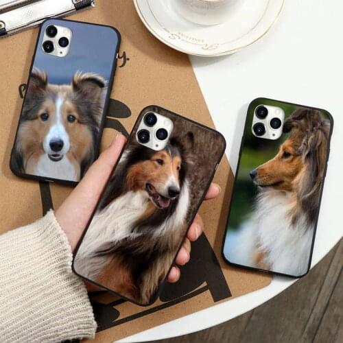 Funny Animal Sheltie dog Phone Cases for iPhone 11 12 pro XS MAX 8 7 6 6S Plus X 5S SE 2020 XR