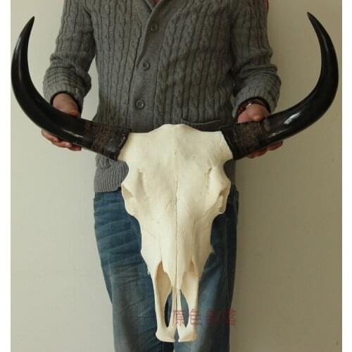 Head Arts Crafts Direct selling natural handicraft Tibetan yak cow skull really polished horn skull ornament