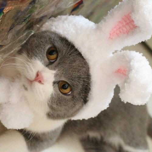 [MPK Store] Rabbit Ears Cat Hat, Cat Headwear, Cat Hood, 2 Sizes Available