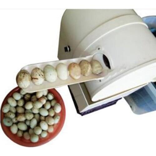 Hot sale Egg washing machine chicken duck goose egg washer egg cleaner wash machine 2300 pcs/h poultry farm equipment