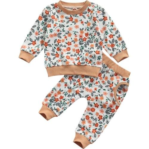 Kids Baby Girls Two-piece Clothes Casual Set Floral Printed Pattern Round Collar Pullover Sweatshirts and Pocket Pants