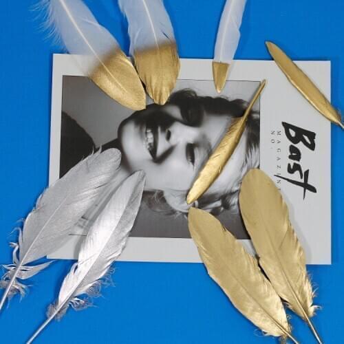 Hot Sale 10pcs Black with Gold Color Goose/duck Feathers 15-20cm/6-8inches Wedding Bouquet Decoration Craft for Home Decor