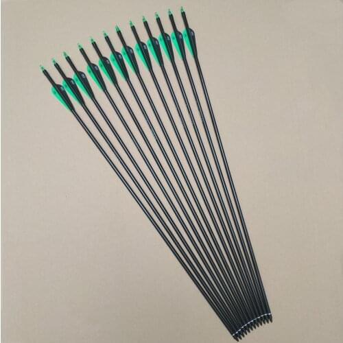 12Pcs 28" Fiberglass Arrow for Recurve and Compound Bow Hunting
