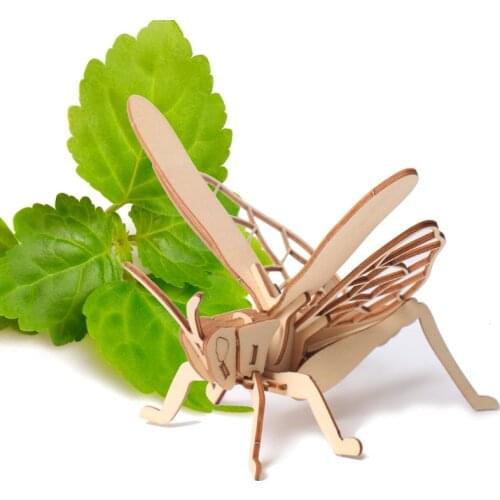 8 insect 3D jigsaw puzzles set wooden jigsaw childrens toys, laser cutting technology perfect insect models puzzles baby gifts