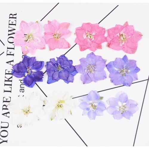 60pcs Pressed Dried Natural Consolida Ajacis Flowers Plants Herbarium For Jewelry Phone Case Photo Frame Postcard Bookmark DIY