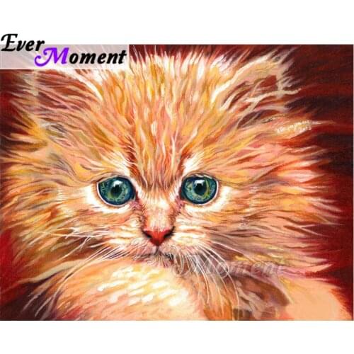 Ever Moment Diamond Painting Green Tear Eyes Cat Art Picture Of Rhinestone Mosaic Decoration Diamond Embroidery Decor ASF1812