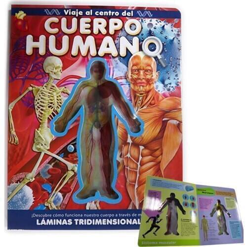 PVC Window Film Book Body StructureBook Cognitive Reading Anatomy Science Study Children Comic Early Education Books Kids Toys