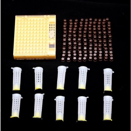 1SET Beekeeping Tools Queen Rearing Kit System Plastic Protective Cover Larve Cultivation Box Cell Cage Cup Cupkit Supplies