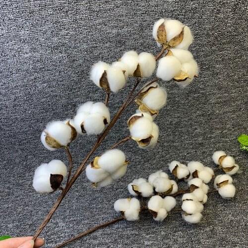 Naturally Dried Cotton Flowers White Home Decorative Artificial Floral Branch Wedding Bridesmaid Bouquet Decor Fake White Flower
