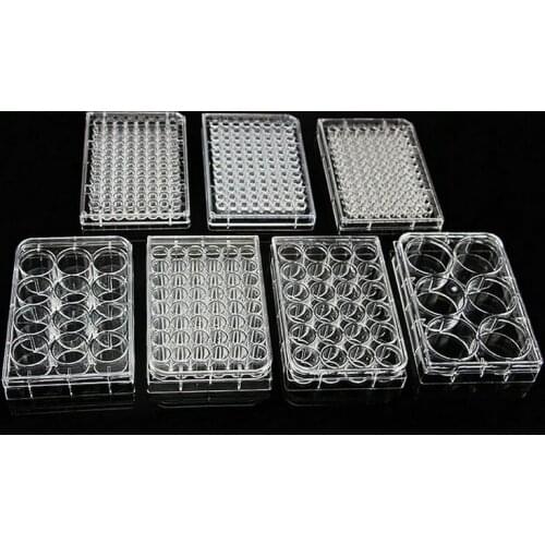 5pcs 6/12/24/48/96/384 hole Disposable Cell Culture Plate Bacterial Culture Plate Enzyme Label Plate Sterilization Packaging